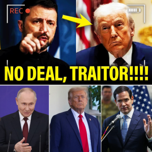 SHOCKWAVE IN EUROPE: ZELENSKYY BLASTS D.O.N.A.L.D T.R.U.M.P, FLATLY REJECTS “PEACE DEAL” — ALLIES CLOSE RANKS AS WAR DRAMA ESCALATES AND INSIDERS WHISPER A MAJOR POWER SHIFT