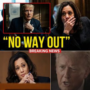 CONGRESS ERUPTS: Lawmakers Demand Immediate Trump IMPEACHMENT After Explosive Private Briefing Leak