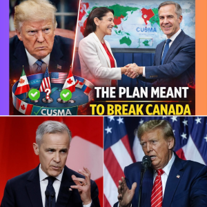 2026 COUNTDOWN COLLAPSES — D.O.N.A.L.D T.R.U.M.P HITS A WALL AS CANADA REFUSES TO BLINK