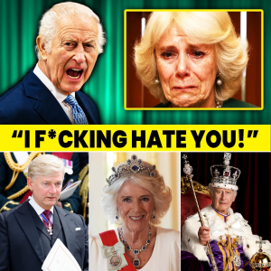 JUST IN: KING CHARLES III STUNNED BY QUEEN CAMILLA MOVE — EMERGENCY PALACE MEETING ERUPTS AS TRUST SHAKES
