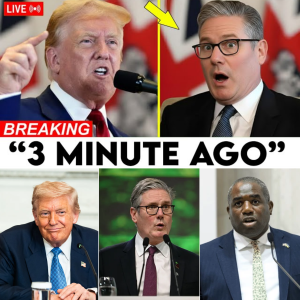 TRUMP PUBLICLY FREEZES UK PM OUT — WHITE HOUSE SIGNALS POWER SHIFT AS “SPECIAL RELATIONSHIP” HANGS BY A THREAD