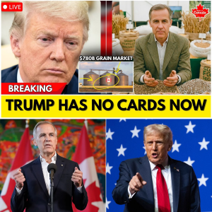 TRUMP FROZEN IN SHOCK: U.S. Grain & Fertilizer Access SHUT DOWN Overnight — Canada Locks Out $780B Market in DEVASTATING STRATEGY MOVE